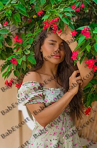Lika 22 year old Russian, Caucasian (white), Busty, Brown, Long, Breast size C escort in Sharjah thumbnail 4